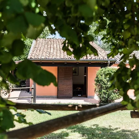 Relais Torre Del Piancastagno Alloggio per agriturismo Sutri